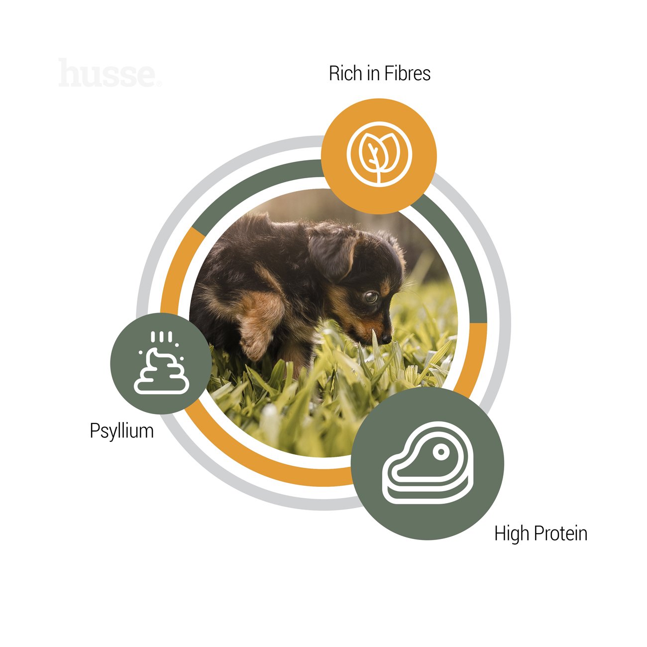 Valp Plus, 7 kg | Täisväärtuslik toitumine psülliumi ja köögiviljakiududega sujuva seedimise tagamiseks