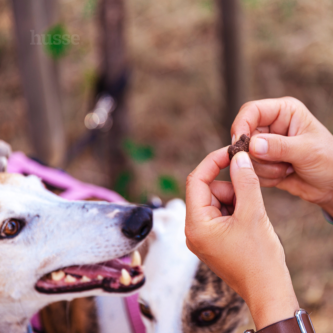 Bravo L, 150 g | Gluteenivabad maiused lambalihaga