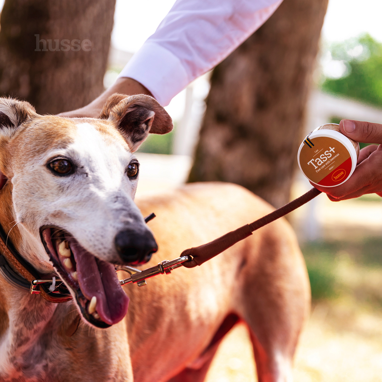 Tass Plus, 40 ml | Käpahooldusvahend mesilasvahaga