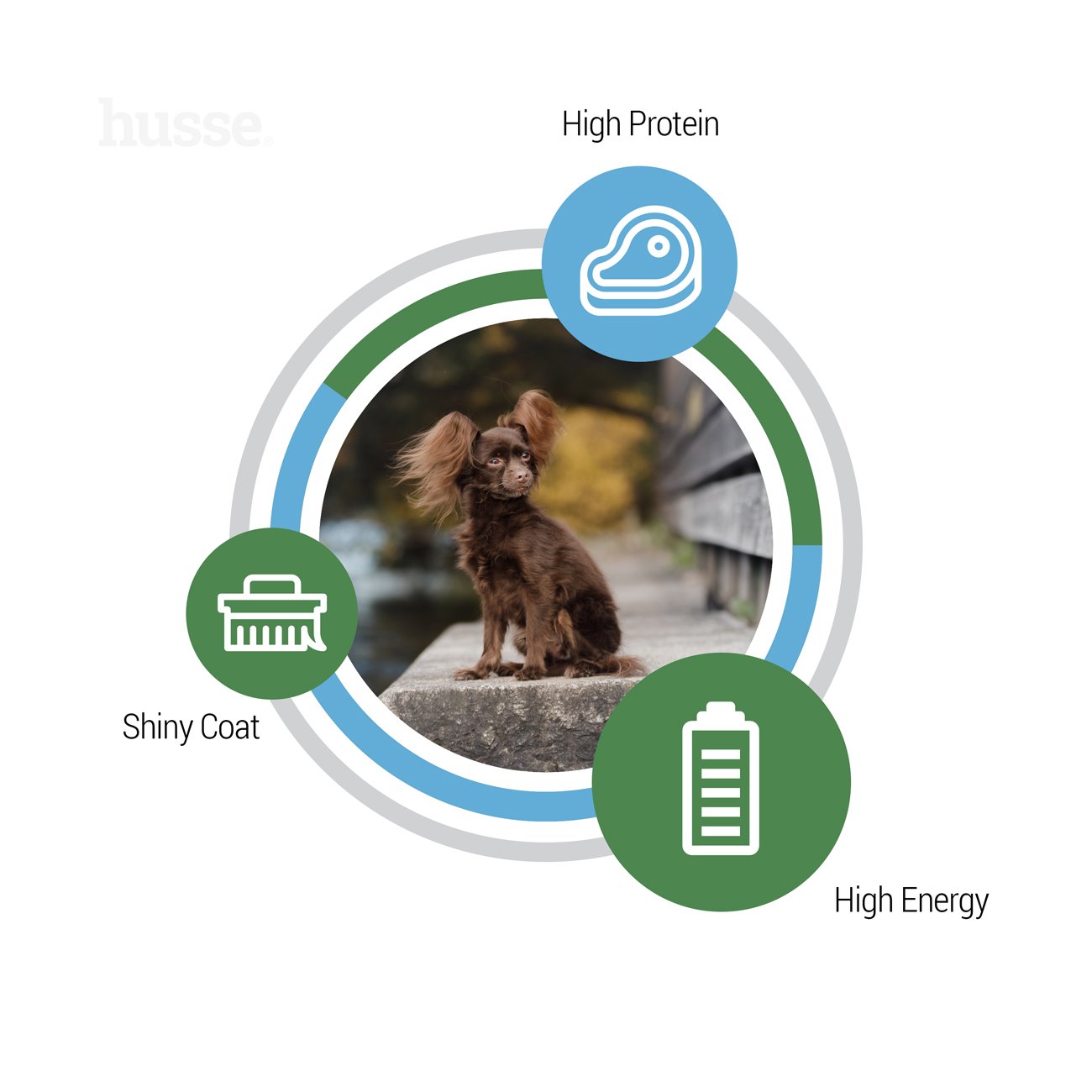 Optimal Mini, 7 kg | Gluteenivaba koerakuivtoit, mis on välja töötatud kõrgete energiavajadustega koerte vajaduste rahuldamiseks.