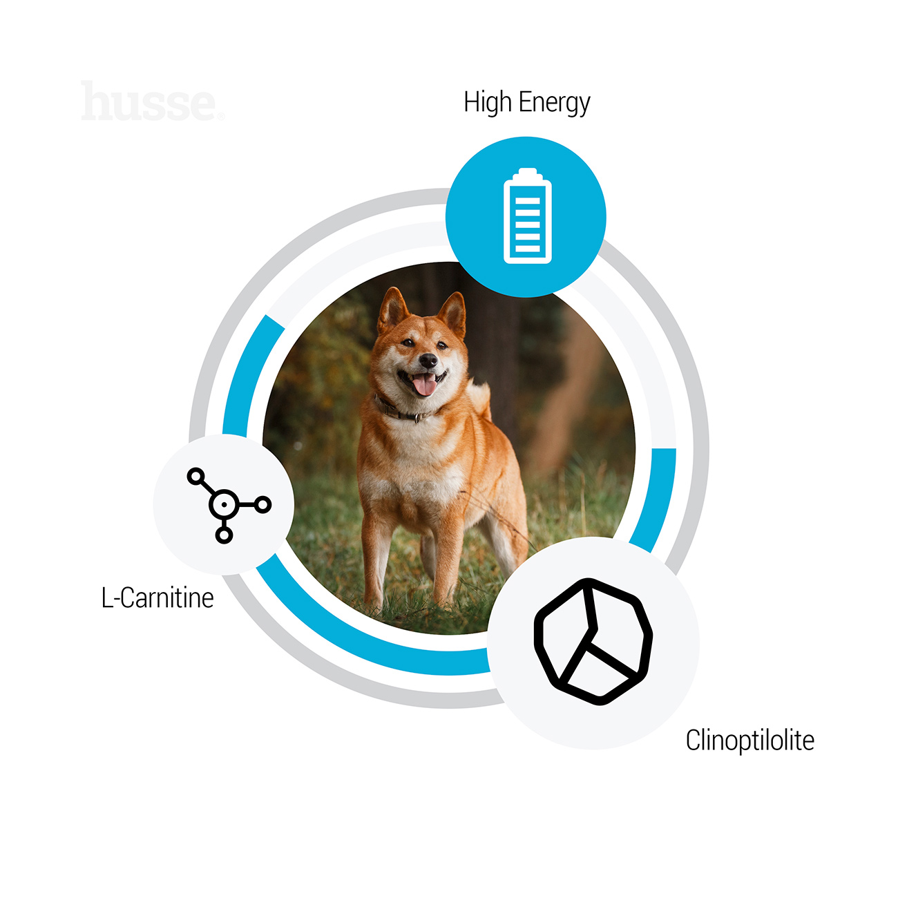 Sensitive Optimal, 2 x 12.5 kg | Gluteenivaba kuivtoit koertele, mis on mõeldud suurenenud energiavajaduse rahuldamiseks