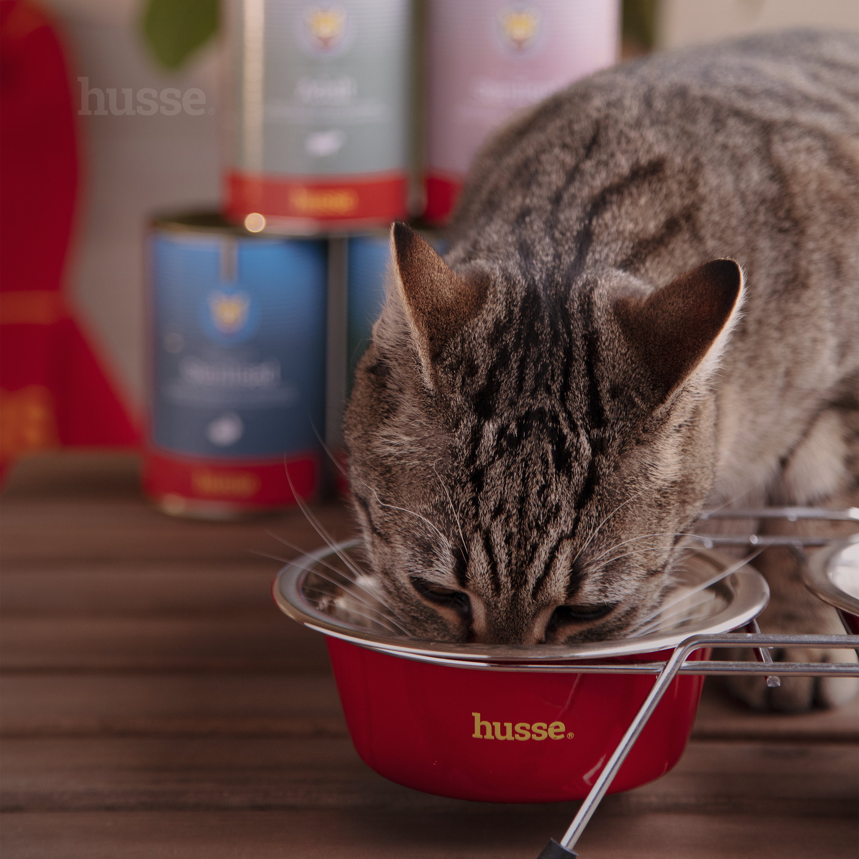 Sterilised konserv, 415 g | Tasakaalustatud toit lisatud tauriiniga