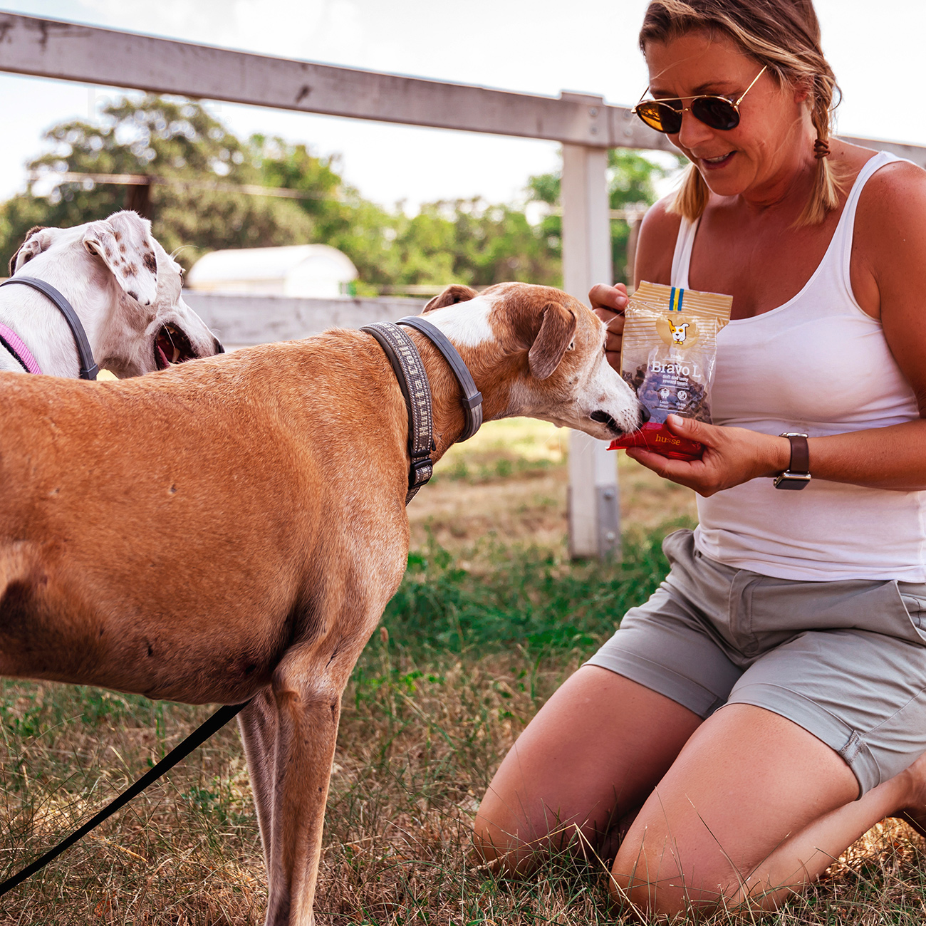 Bravo L, 150 g | Gluteenivabad maiused lambalihaga
