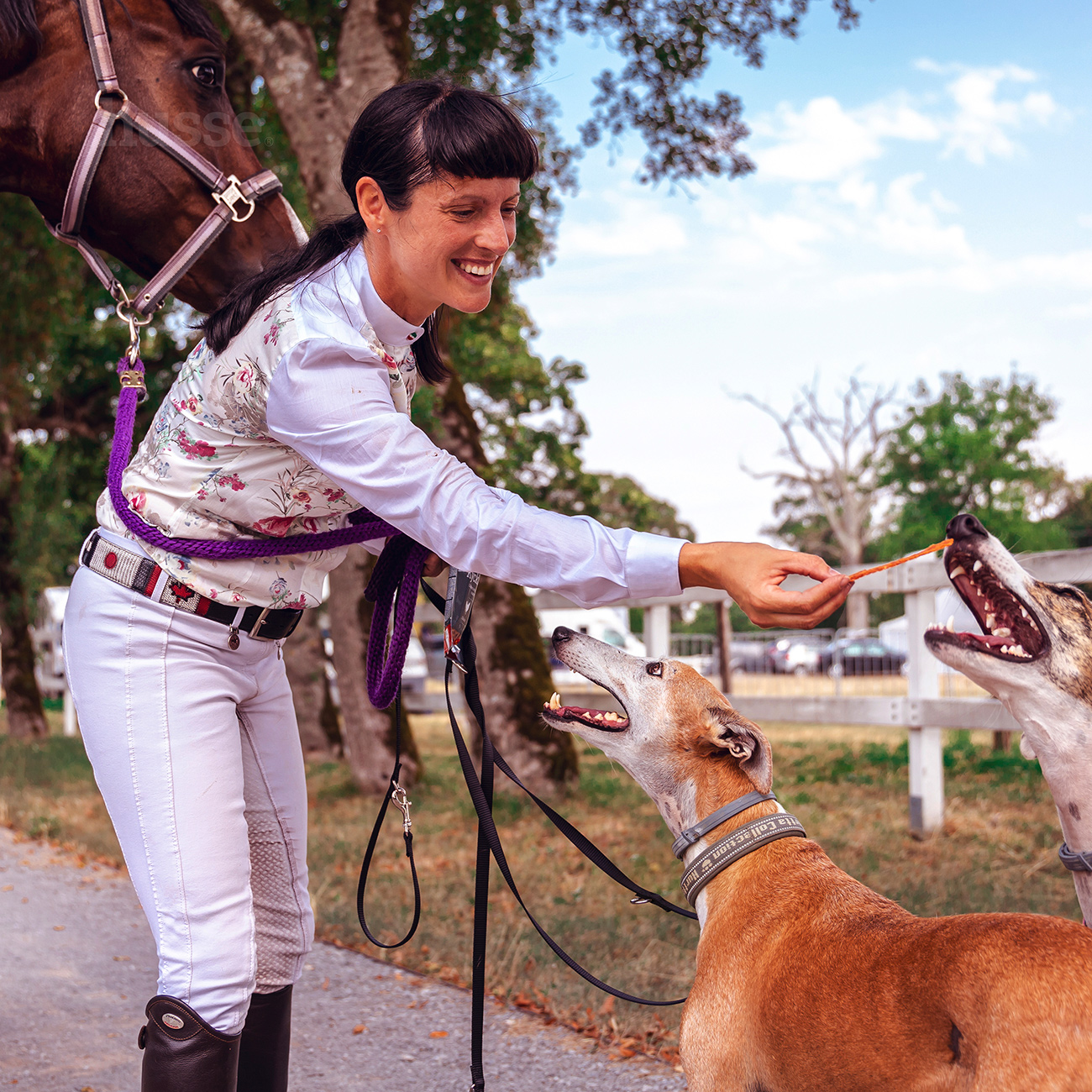 Kycklingfilé, 100 g | Kana maiused kondroitiini ja glükoosamiiniga
