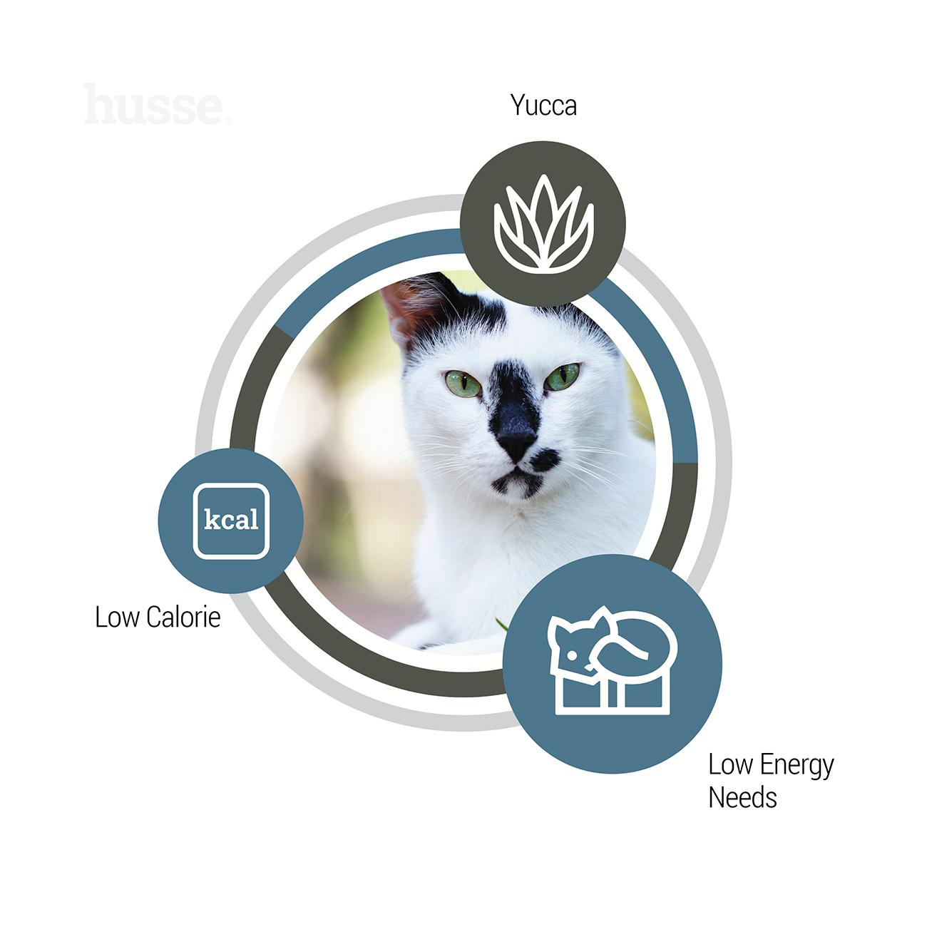 Exclusive Light, 2 kg | Kassi kuivtoit, mis on loodud tervisliku kehakaalu säilitamiseks