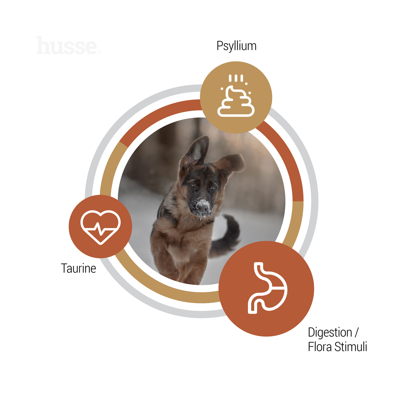 Valp Farm, 12 kg | Teraviljavabad killud, millel on piiratud allikatest pärinev kõrge loomse valgu sisaldus