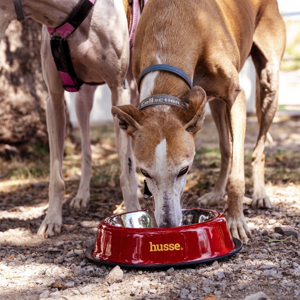 Bowl, L | Vastupidav roostevabast terasest lemmiklooma kauss