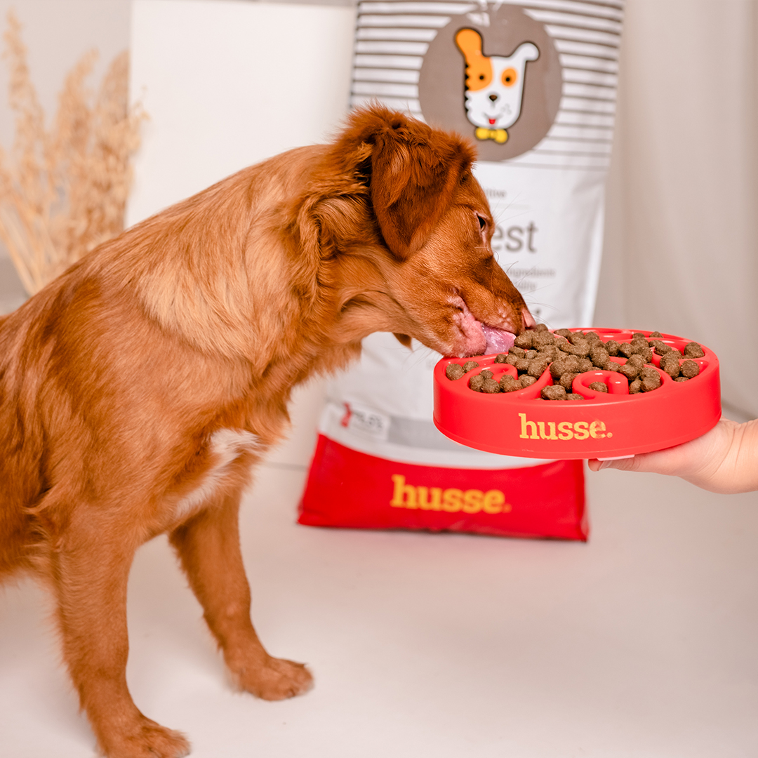 Sensitive Digest, 2 kg | Gluteenivaba retsept piiratud loomse valgu allikatega