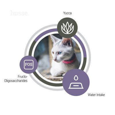 Exclusive Urinary, 2 kg | Täisväärtuslik kassitoit, mis aitab säilitada kuseteede tervist