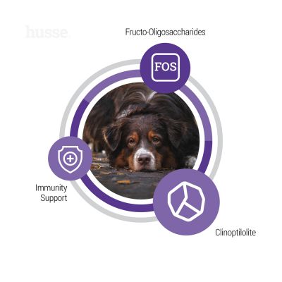 Senior, 2 x 12 kg | Tasakaalustatud kuivtoit, mis vastab vananevate koerte ainulaadsetele vajadustele.