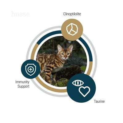 Lynx Senior, 7 kg | Täisväärtuslik, teraviljavaba toitumine eakatele kassidele