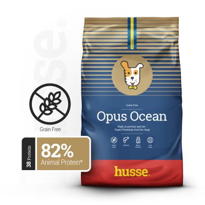 Opus Ocean, 2 kg | Teraviljavabad killud ühe loomse valgu allikaga