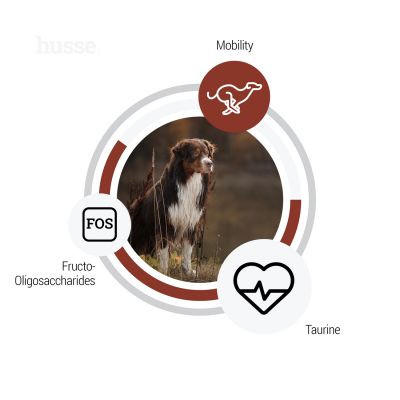 Sensitive Digest Giant, 12.5 kg | Gluteenivaba retsept piiratud loomsete valkude allikatega