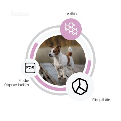 Sensitive Ocean Care Mini, 2 kg | Gluteenivaba retsept ühe loomse valgu allikaga