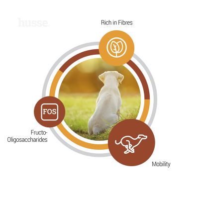 Valp Maxi, 12 kg | Toetab suurte tõugude kutsikate arenguvajadusi