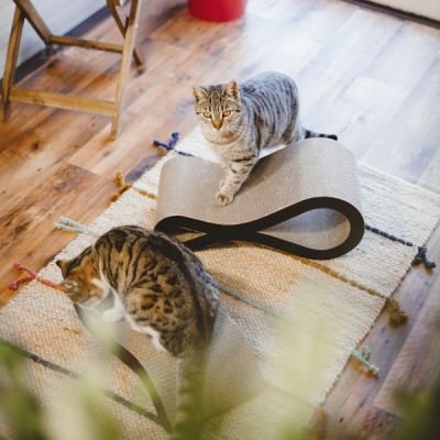 Knut, 1 tk | Kraapimisalus, mis hoiab kassi tervena ja aktiivsena