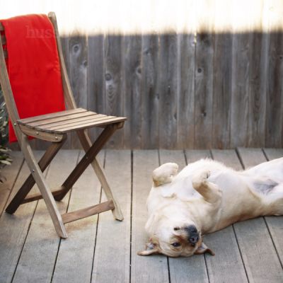 Blanket, XL | Pehme tekk maksimaalse plüüsi ja mugavuse tagamiseks