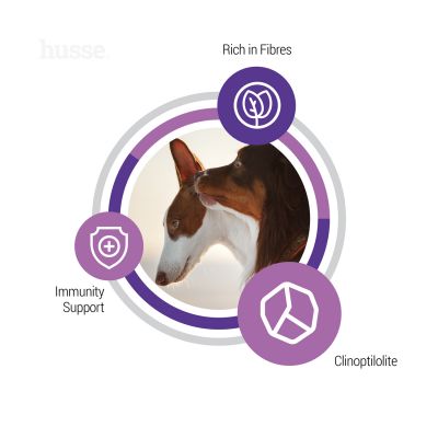 Sterilised, 2 x 12 kg | Tasakaalustatud kuivtoit, et rahuldada steriliseeritud täiskasvanud koerte ainulaadseid vajadus