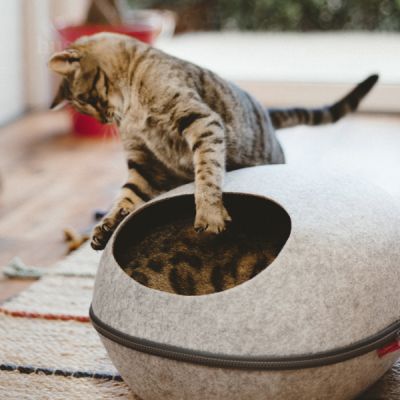 Krypin, 1 pc | Katusega kassipesa, et hoida teie kassi soojas ja hubases olekus.