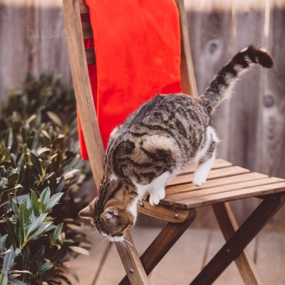 Blanket, XL | Pehme tekk maksimaalse plüüsi ja mugavuse tagamiseks