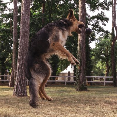 Boll, S | Põrkav kummipall