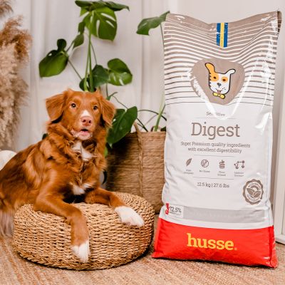 Sensitive Digest, 2 kg | Gluteenivaba retsept piiratud loomse valgu allikatega