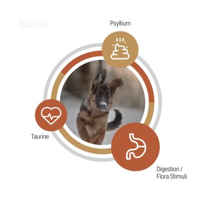 Valp Farm, 12 kg | Teraviljavabad killud, millel on piiratud allikatest pärinev kõrge loomse valgu sisaldus