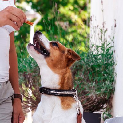 Kycklingfilé, 100 g | Kana maiused kondroitiini ja glükoosamiiniga