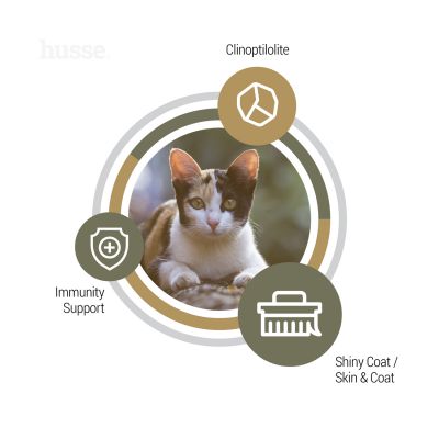 Opus Lynx, 2 kg | Teraviljavabad killud tundliku naha ja seedesüsteemiga kassidele