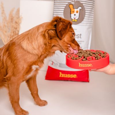 Sensitive Digest, 2 kg | Gluteenivaba retsept piiratud loomse valgu allikatega