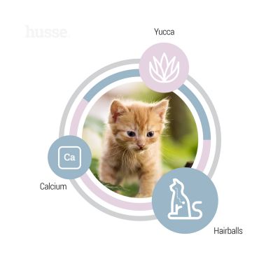 Exclusive Kattunge, 2 kg | Täisväärtuslik toit kasvavatele kassipoegadele