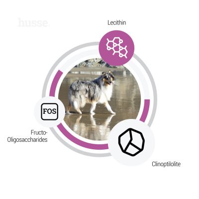 Sensitive Ocean Care, 2 x 12.5 kg | Gluteenivaba retsept ühe loomse valguallikaga