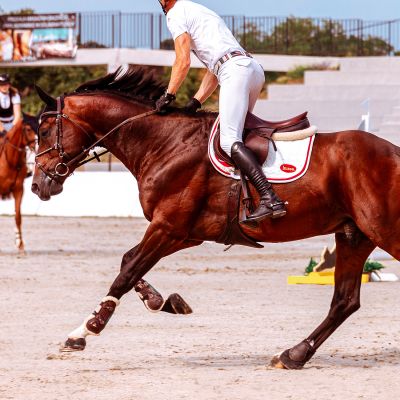 Saddle Pad, 1 tk | Ergonoomilise kujuga sadulapadi suurendab mugavust