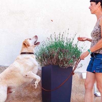 Kycklingfilé, 100 g | Kana maiused kondroitiini ja glükoosamiiniga